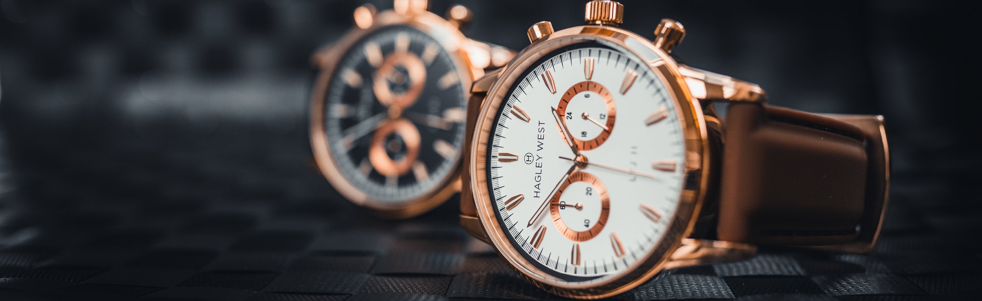 ウエルネスワールド　リジェンドアース/リジェンドプラス　各1 WellnessWorld｜製品一覧